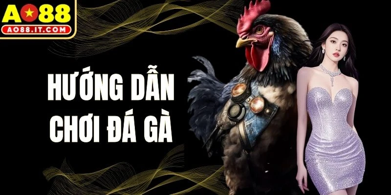 Hướng Dẫn Chơi Đá Gà
