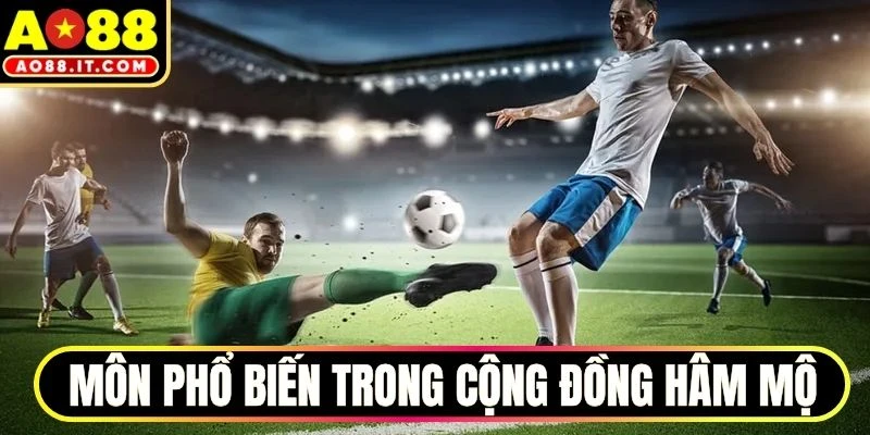 Môn thể thao phổ biến trong cộng đồng người hâm mộ