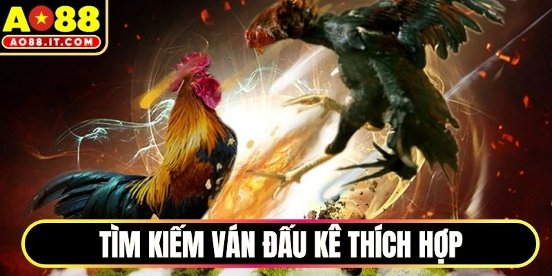 Tìm kiếm ván đấu kê thích hợp